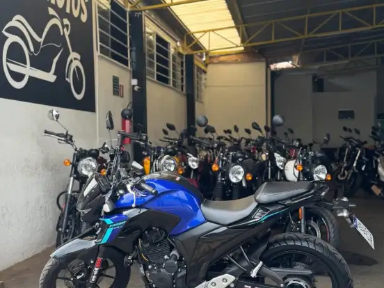 YAMAHA-FZ25 FAZER ABS YAMAHA-FZ25 FAZER ABS-2024