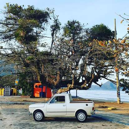 FIAT-147-1.3 PICK-UP CITY CS 8V ÁLCOOL 2P MANUAL FIAT-147-1981