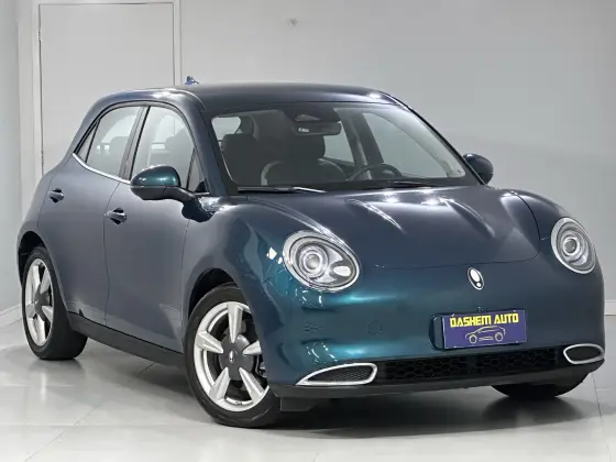 GWM ORA 03 48 KW ELÉTRICO SKIN