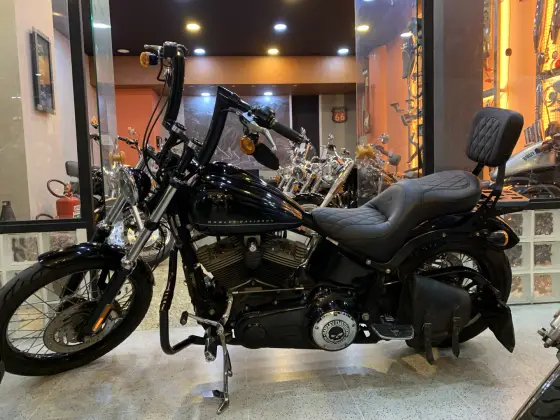 HARLEY-DAVIDSON SOFTAIL BLACKLINE 