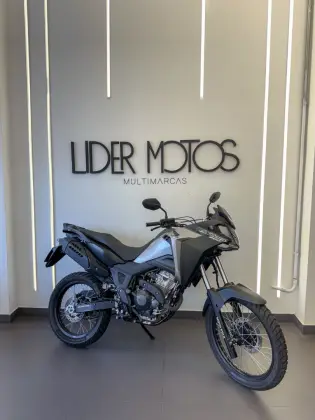 HONDA XRE 300 SAHARA 