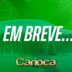 CITROËN C4 CACTUS 1.6 THP FLEX SHINE EAT6 CITROËN C4 CACTUS 1.6 THP FLEX SHINE EAT6
