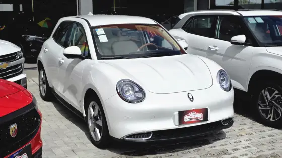 GWM ORA 03 48 KW ELÉTRICO SKIN