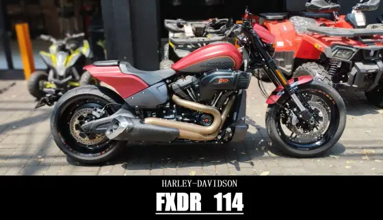 HARLEY-DAVIDSON SOFTAIL FXDR 114 