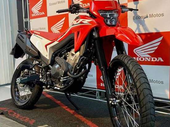 HONDA-XR 300L TORNADO HONDA-XR 300L TORNADO-2024