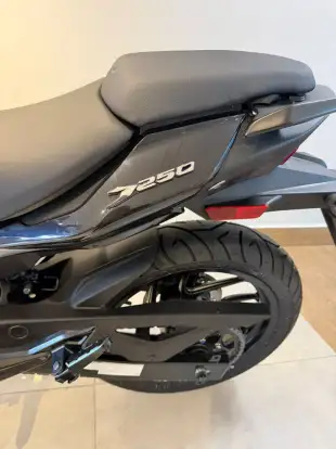 BAJAJ-DOMINAR 250 BAJAJ-DOMINAR 250-2026