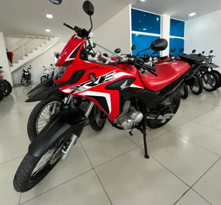 HONDA XRE 300 RALLY 