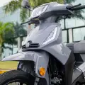 SHINERAY PHOENIX S 50 SHINERAY PHOENIX S 50