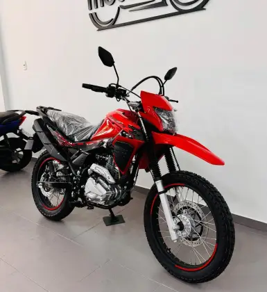 SHINERAY SHI 175 