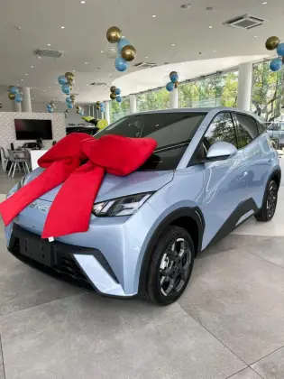 BYD DOLPHIN MINI 38 KW ELÉTRICO GS
