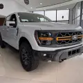 FORD F-150 5.0 V8 GASOLINA CD TREMOR FX4 AUTOMÁTICO FORD F-150 5.0 V8 GASOLINA CD TREMOR FX4 AUTOMÁTICO