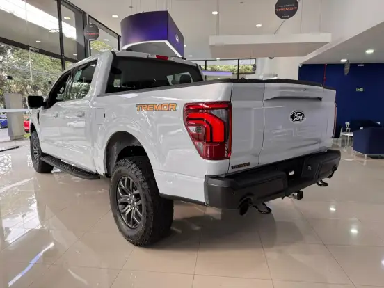 FORD-F-150-5.0 V8 GASOLINA CD TREMOR FX4 AUTOMÁTICO FORD-F-150-2025