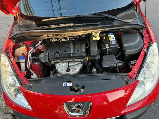 PEUGEOT-307-2010