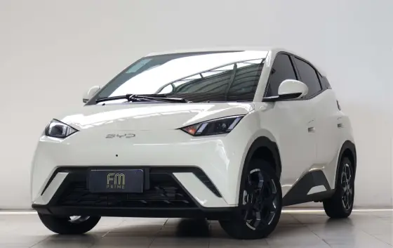 BYD DOLPHIN MINI 38 KW ELÉTRICO 5L
