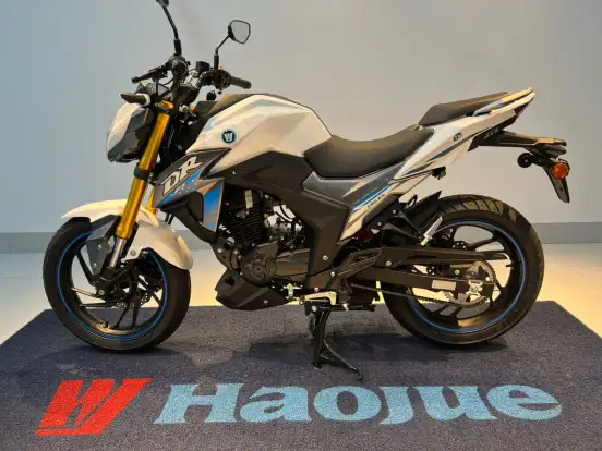 HAOJUE-DR 160 S-2025