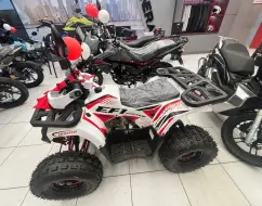 SHINERAY ATV 125 SHINERAY ATV 125