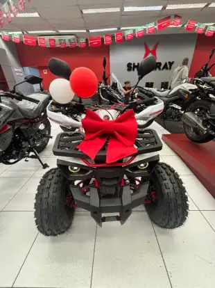 SHINERAY-ATV 125 SHINERAY-ATV 125-2025