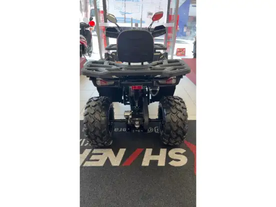 SHINERAY-ATV 200 SHINERAY-ATV 200-2025