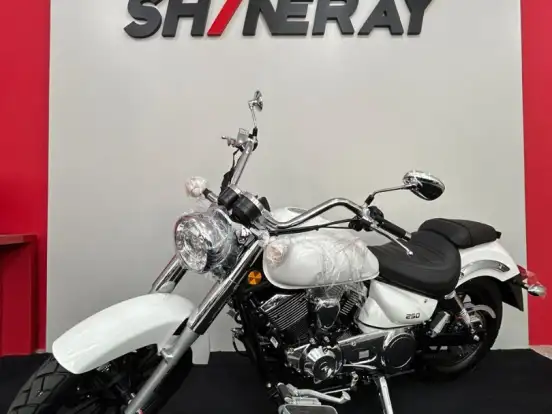SHINERAY-DENVER 250 SHINERAY-DENVER 250-2026