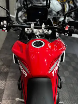 TRIUMPH-TIGER 900 GT ARAGÓN-2024