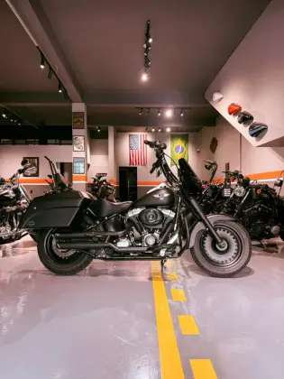 HARLEY-DAVIDSON SOFTAIL FAT BOY SPECIAL 