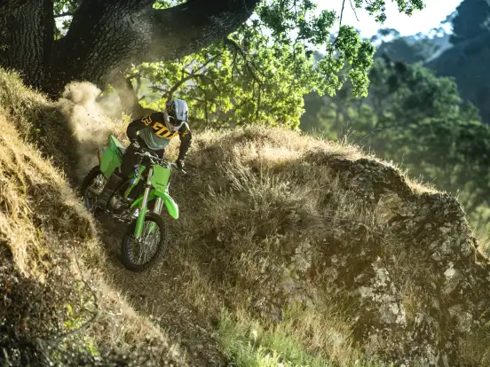KAWASAKI-KLX 300R KAWASAKI-KLX 300R-2025