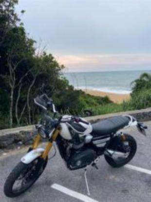 TRIUMPH-SCRAMBLER 1200 XE-2019