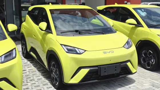 BYD DOLPHIN MINI 38 KW ELÉTRICO 5L