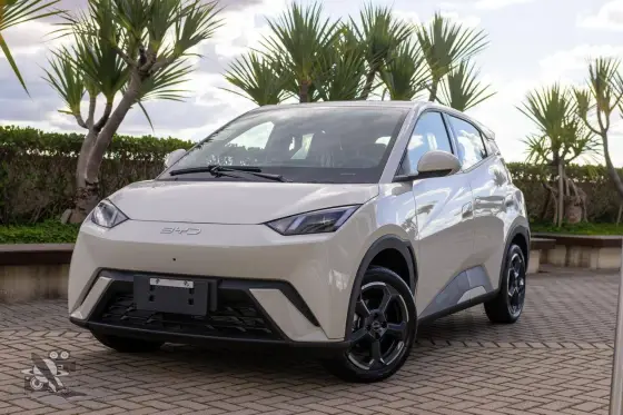 BYD DOLPHIN MINI 38 KW ELÉTRICO GS