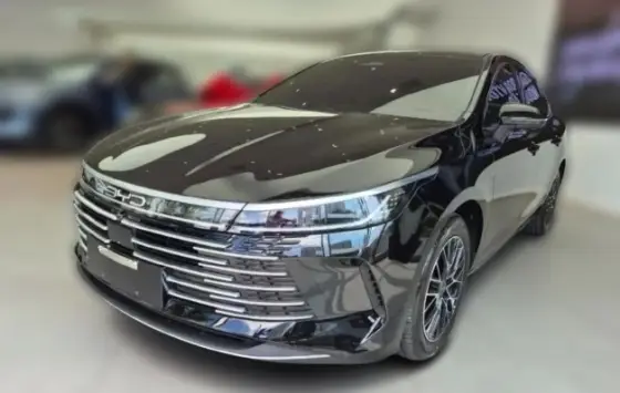BYD KING 1.5 DM-I PHEV GS AUTOMÁTICO