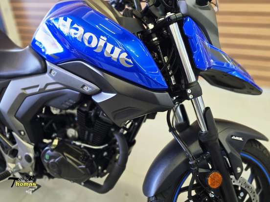 HAOJUE-DL 160 HAOJUE-DL 160-2026