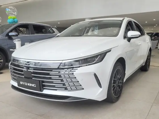 BYD KING 1.5 DM-I PHEV GS AUTOMÁTICO