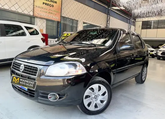 FIAT PALIO 1.0 MPI ELX 8V FLEX 4P MANUAL FIAT PALIO 1.0 MPI ELX 8V FLEX 4P MANUAL