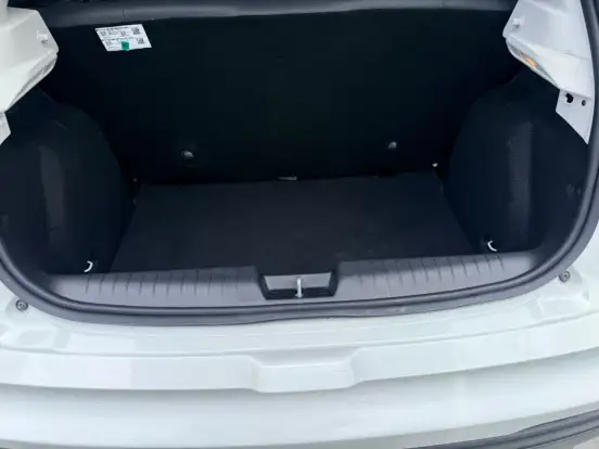 FIAT-PULSE-2022