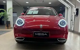 GWM ORA 03 48 KW ELÉTRICO SKIN