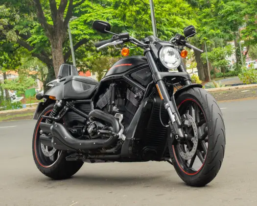 HARLEY-DAVIDSON NIGHT ROD SPECIAL HARLEY-DAVIDSON NIGHT ROD SPECIAL