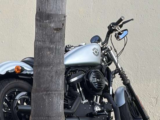 HARLEY-DAVIDSON-SPORTSTER IRON 883 HARLEY-DAVIDSON-SPORTSTER IRON 883-2020