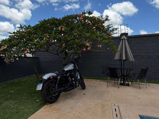 HARLEY-DAVIDSON-SPORTSTER IRON 883 HARLEY-DAVIDSON-SPORTSTER IRON 883-2020