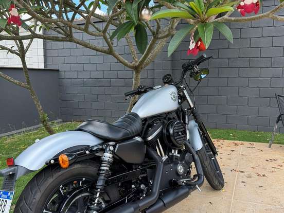 HARLEY-DAVIDSON-SPORTSTER IRON 883 HARLEY-DAVIDSON-SPORTSTER IRON 883-2020