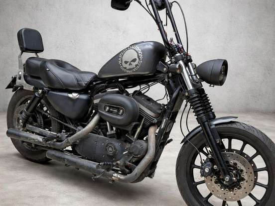HARLEY-DAVIDSON-SPORTSTER XL 883 R HARLEY-DAVIDSON-SPORTSTER XL 883 R-2007