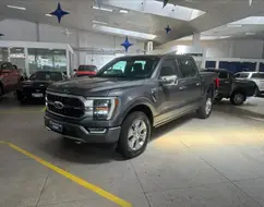 FORD F-150 5.0 V8 GASOLINA CD PLATINUM FX4 AUTOMÁTICO FORD F-150 5.0 V8 GASOLINA CD PLATINUM FX4 AUTOMÁTICO