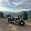 HARLEY-DAVIDSON DYNA FAT BOB HARLEY-DAVIDSON DYNA FAT BOB