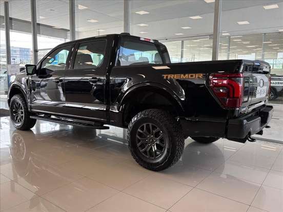 FORD-F-150-5.0 V8 GASOLINA CD TREMOR FX4 AUTOMÁTICO FORD-F-150-2025