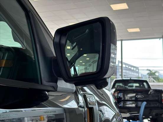 FORD-F-150-5.0 V8 GASOLINA CD TREMOR FX4 AUTOMÁTICO FORD-F-150-2025