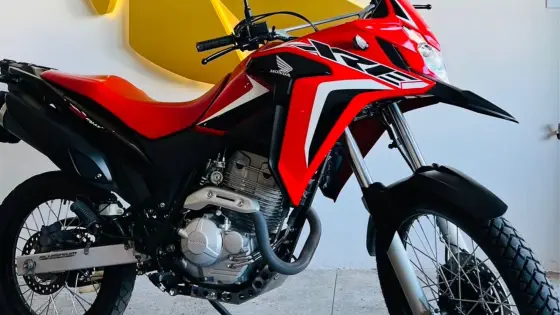 HONDA XRE 300 RALLY 