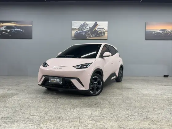 BYD DOLPHIN MINI 38 KW ELÉTRICO