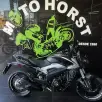 BAJAJ DOMINAR 250 BAJAJ DOMINAR 250