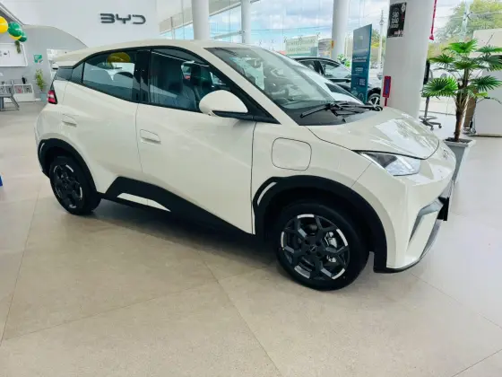 BYD DOLPHIN MINI 38 KW ELÉTRICO GS