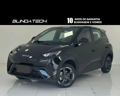 BYD DOLPHIN MINI 38 KW ELÉTRICO GS