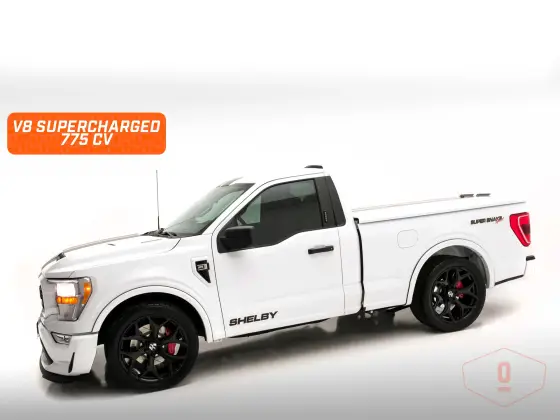 FORD F-150 5.0 V8 SHELBY SUPER SNAKE 4WD SELECTSHIFT